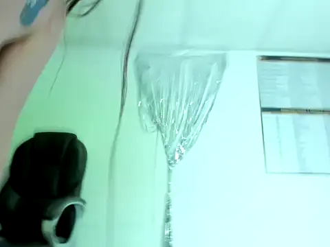 Lisass1 webcam