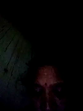 Loomaraj webcam