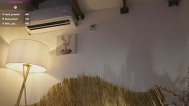 bunnycuteshy live cam on StripChat