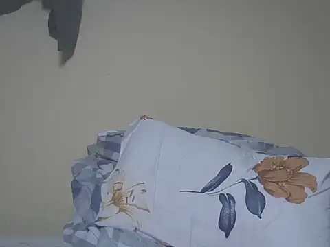sexy_dee254 webcam