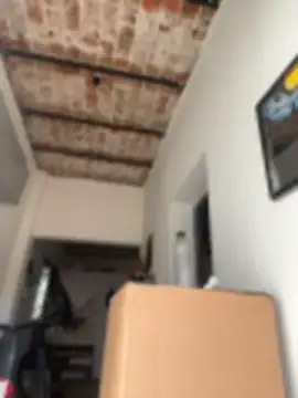 alicetgirlbr webcam