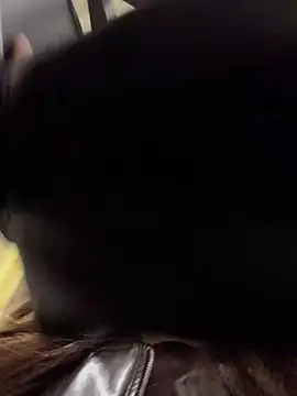 AnitaFly