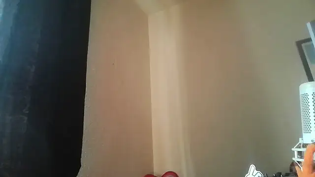 Guyst049 webcam