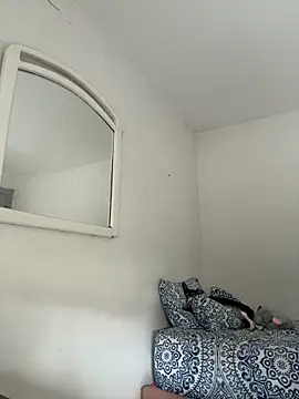 La-Gatiita-trans webcam