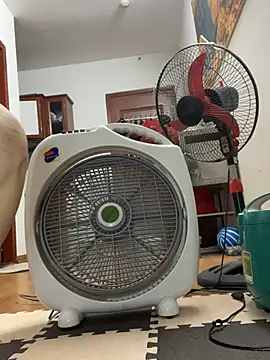 Hello_honey webcam