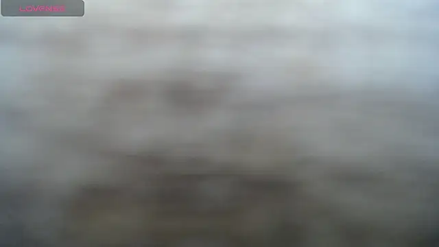 DAPHNE_doll webcam