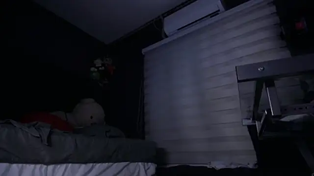 dirty_27cms webcam
