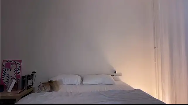 Milky___Way webcam