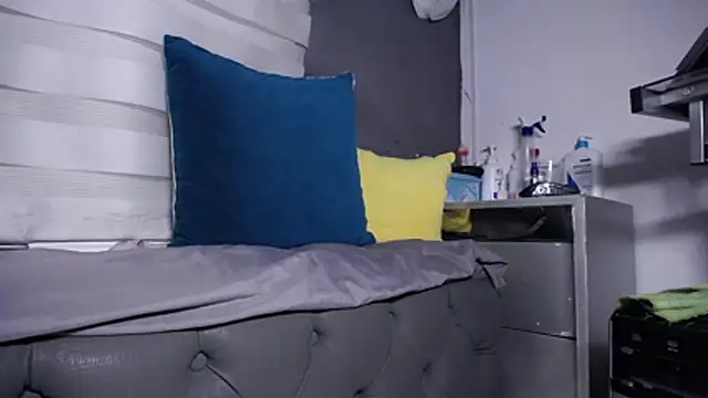 dirty_27cms webcam