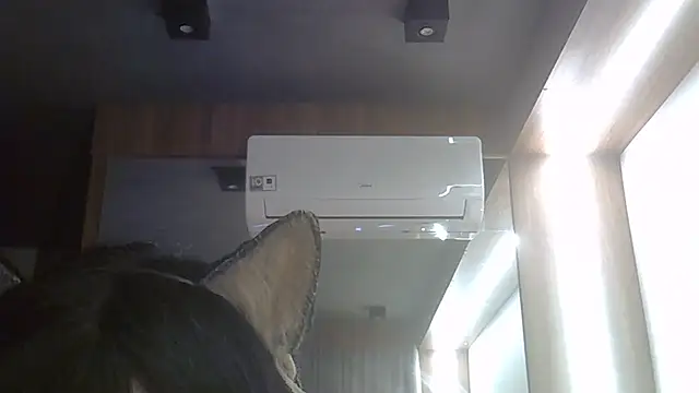 SkinnyKitten webcam