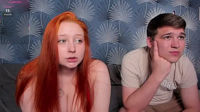 couple_of_kittens_