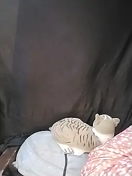 tamil_kanmani (F young) - Boobs n nipples sucking in live
