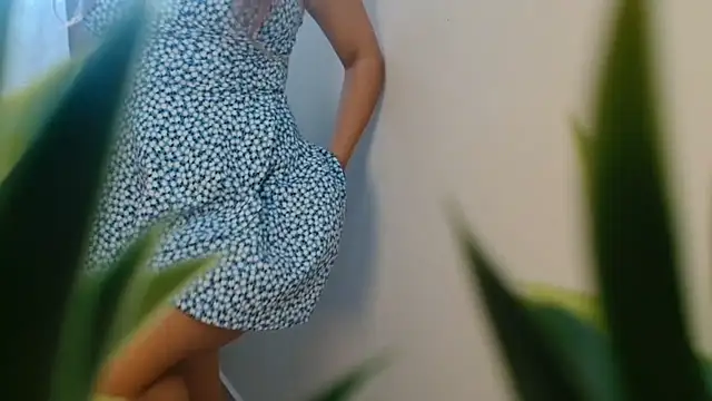 3littles live webcam