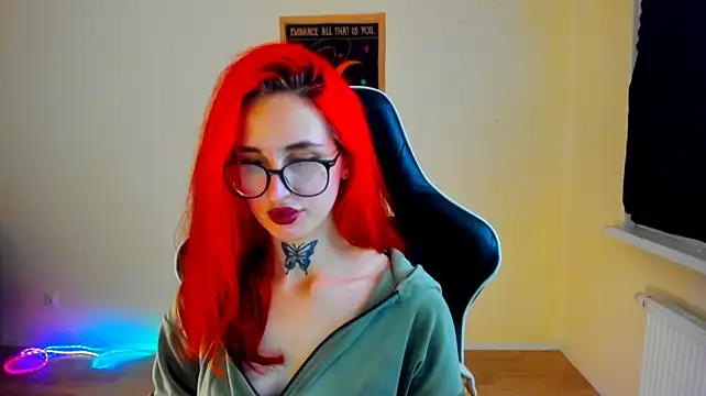 your_tora webcam