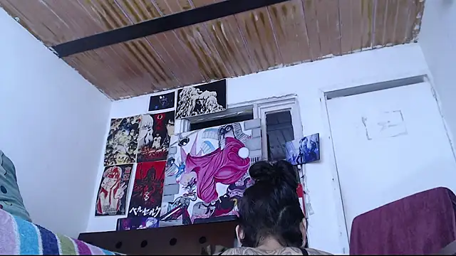 Cortana2_0 webcam