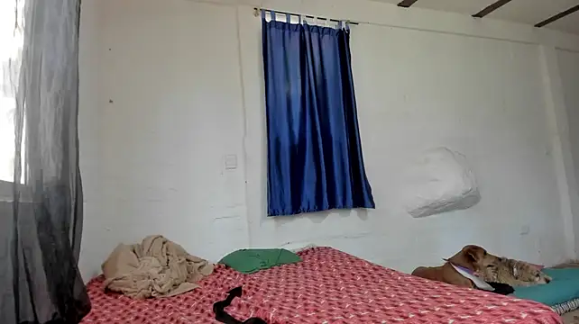 sexnherbs webcam