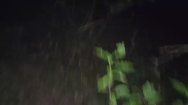 Vuitton live sex cam