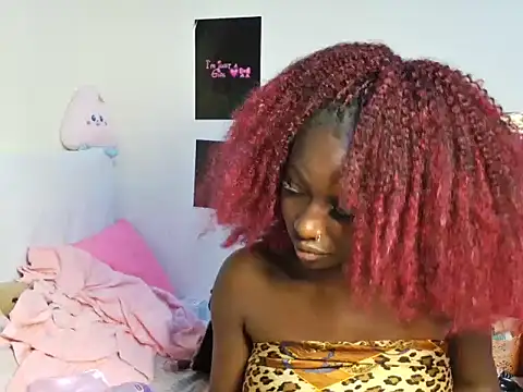 Aria_ah webcam