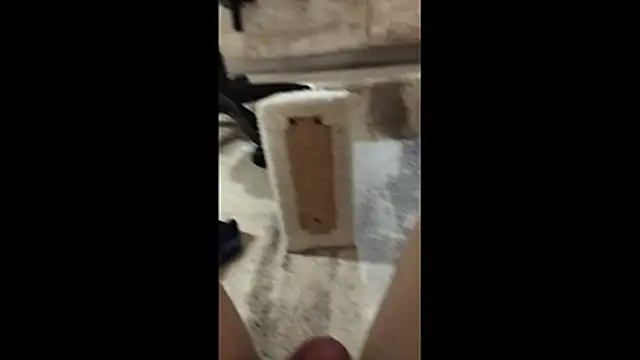 Dick072 webcam