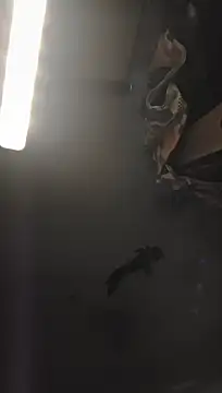 wonderboyharder (M young) - I Fuck my sex toy hard cum shot yours