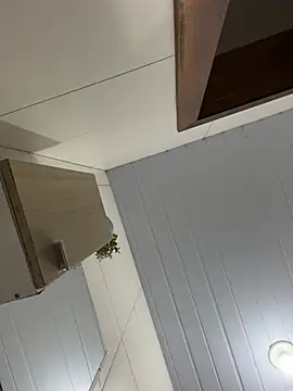 priv2097 webcam