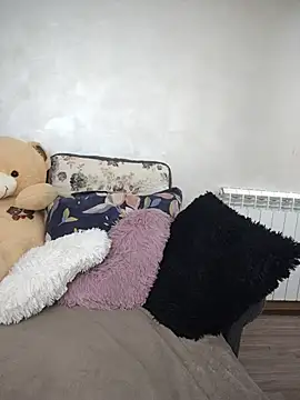 saidaskye webcam