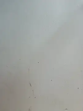 -Bitilu- webcam