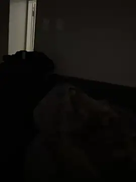 JayteePTA012 webcam