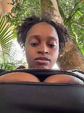 darle_volant webcam