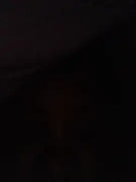 Toto_vee1