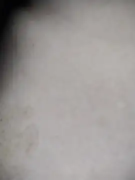 kBossgirls webcam