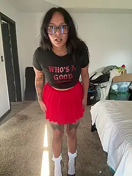 Controllercutie webcam