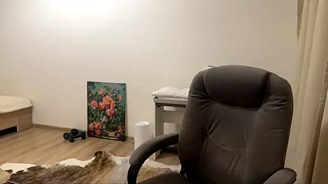 CameTruce webcam