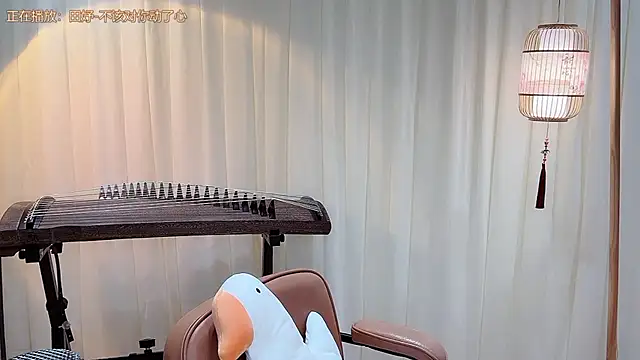 Tian-xin-999 live webcam