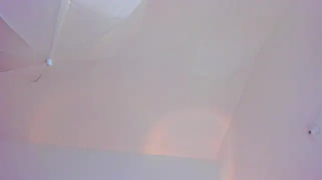 Iris8__ live cam on StripChat