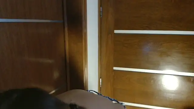 3littles live webcam