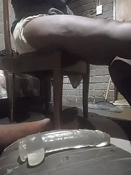 WiseDi live cam on StripChat