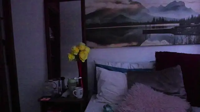 Aurora_Real webcam