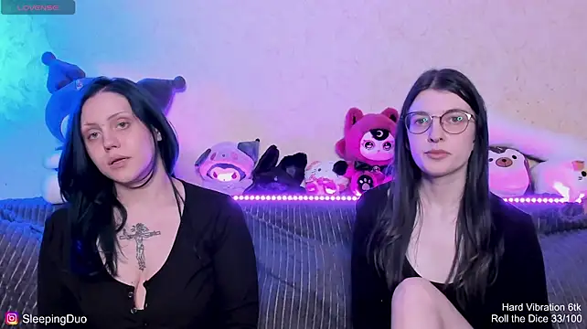 SleepingDuo webcam