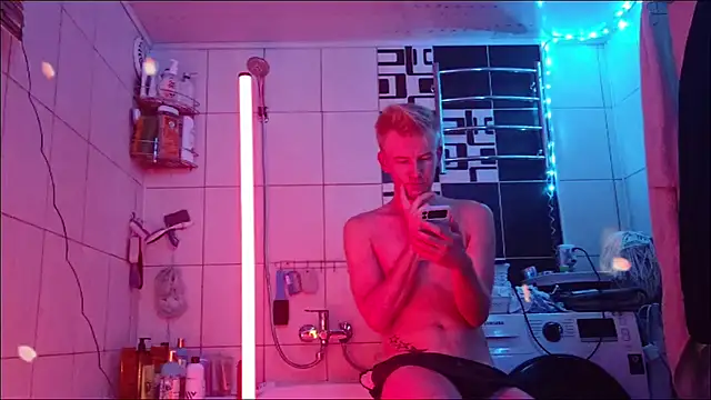 Vuitton webcam