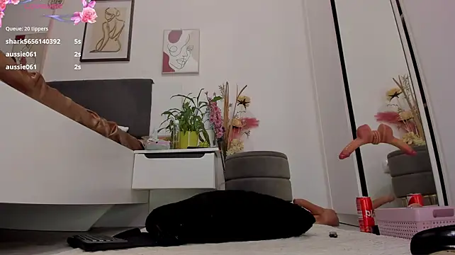 Almatoys webcam