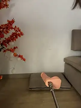 VictoriaHiill webcam