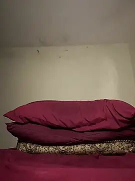 arabayla webcam
