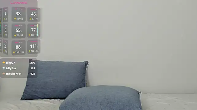 Kiraeko webcam