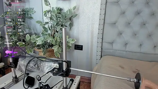ivy_leee webcam