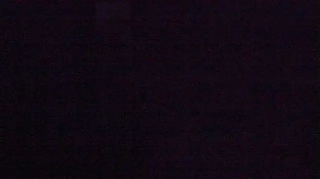 Aurora_Real webcam