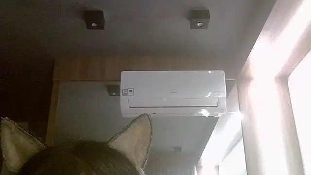 SkinnyKitten live cam on StripChat