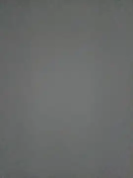 Baese-lsedd webcam