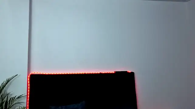 Noha-Wolf webcam