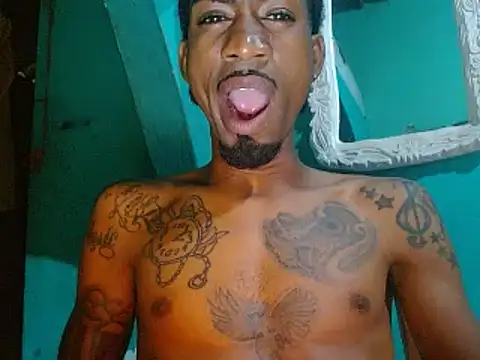 soypleve webcam
